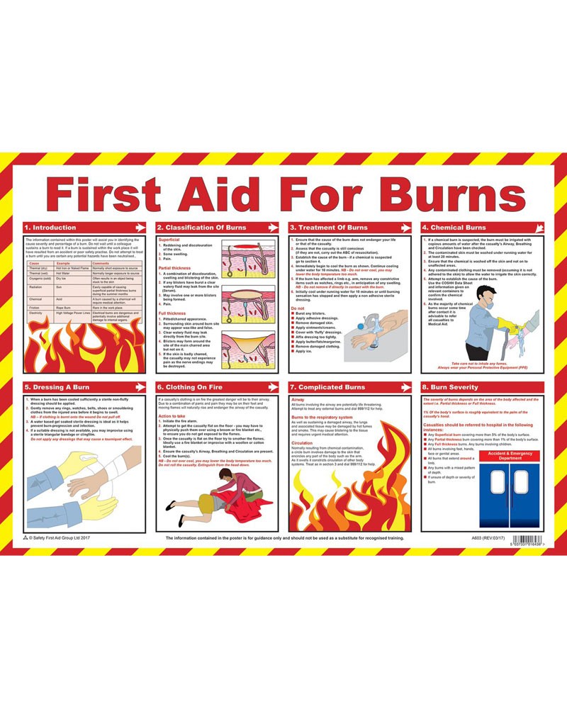 Safety And First Aid Chart