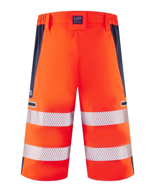 KINGSLEY Leo EcoViz Performance+ Shorts