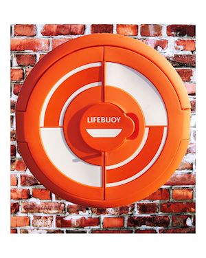 Lifebuoy Cabinet For 30 Inch Lifebuoys - Wall Mounted