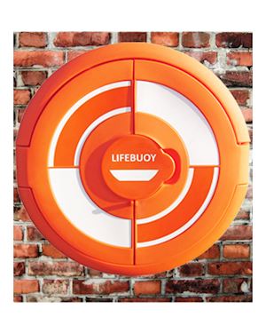 Lifebuoy Cabinet For 24 Inch Lifebuoys - Wall Mounted